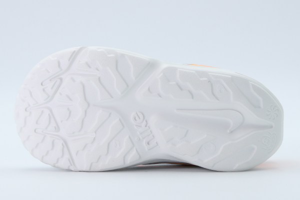 DX7616 008-5-1200x800